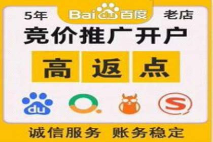 SEM代理助力品牌：案例解析与优化策略